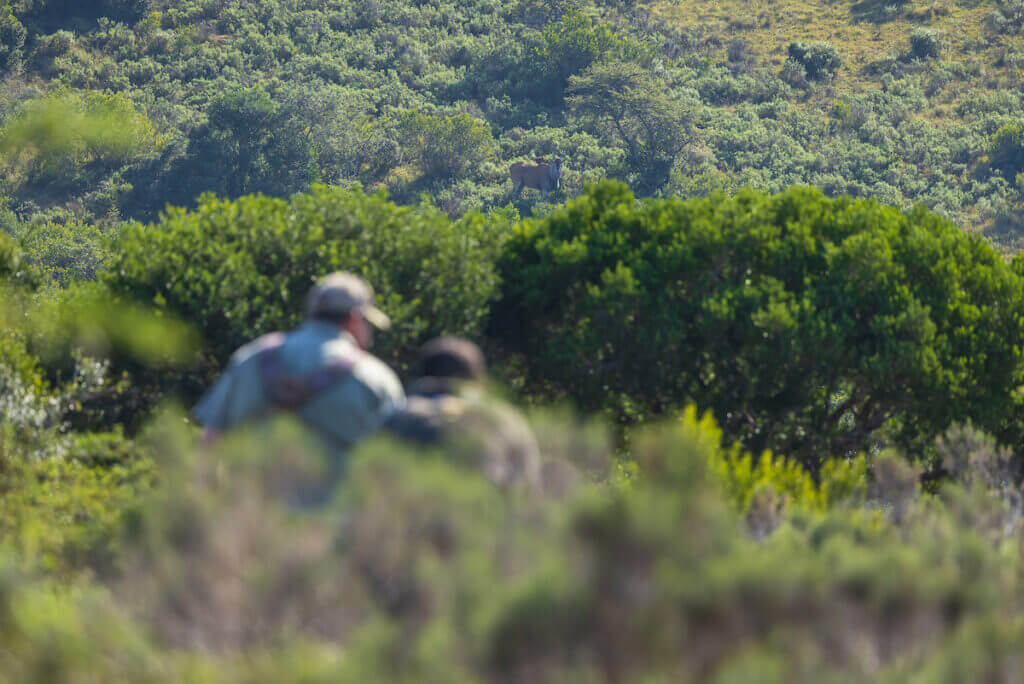 Hunters in bright green landscape