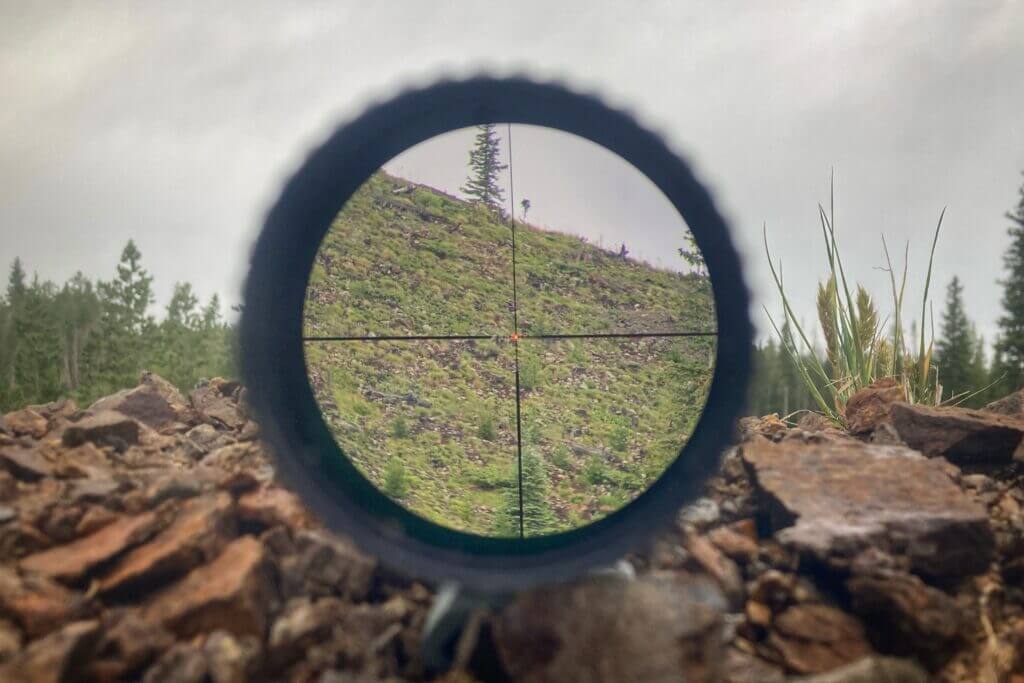 Vortex 2-10X42 reticle looking at trees on top of mountain