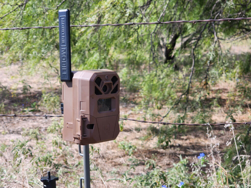 moultrie trail camera