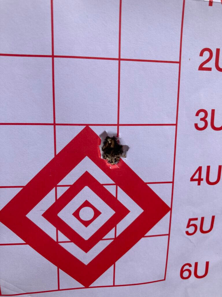 .170 inch three shot group.