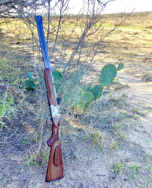 Old School Guns Part 2 - shotgun leaning on bush