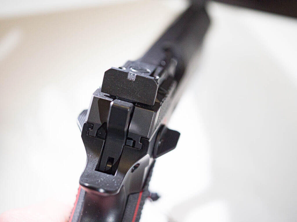 Close up of the rear sight from the back of the gun.