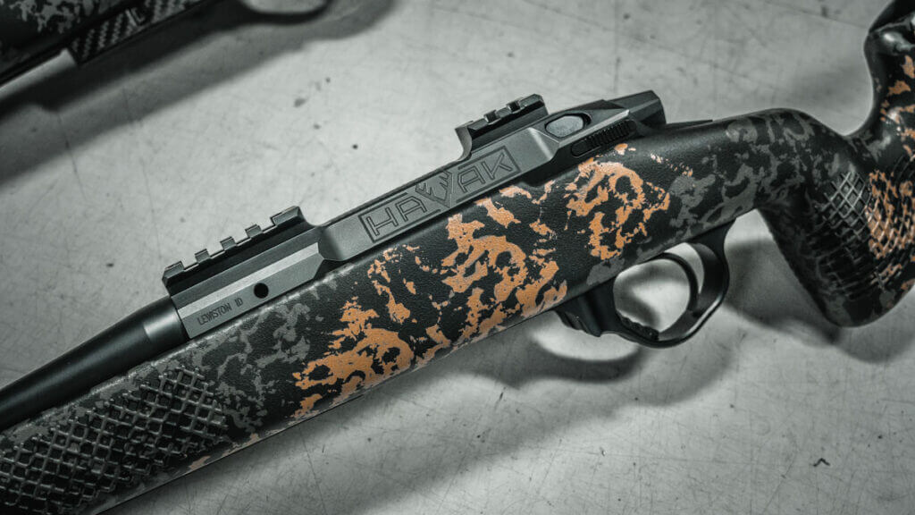 Seekins Precision New Rifle (8)