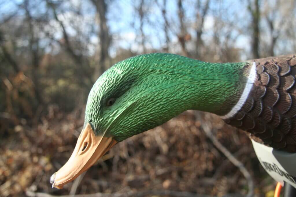Lucky Duck XHDi duck decoy head detail bright colors and forward posture