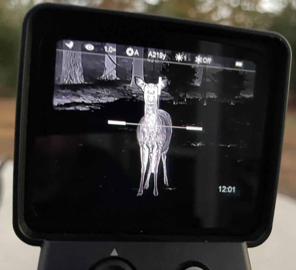 image of an animal through a thermal scope