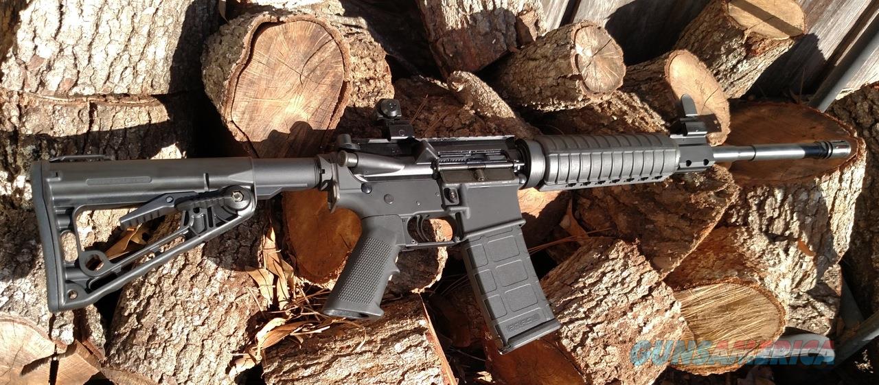 AR15 Custom Build Micro Slick Dry Lube Bolt Mag... for sale