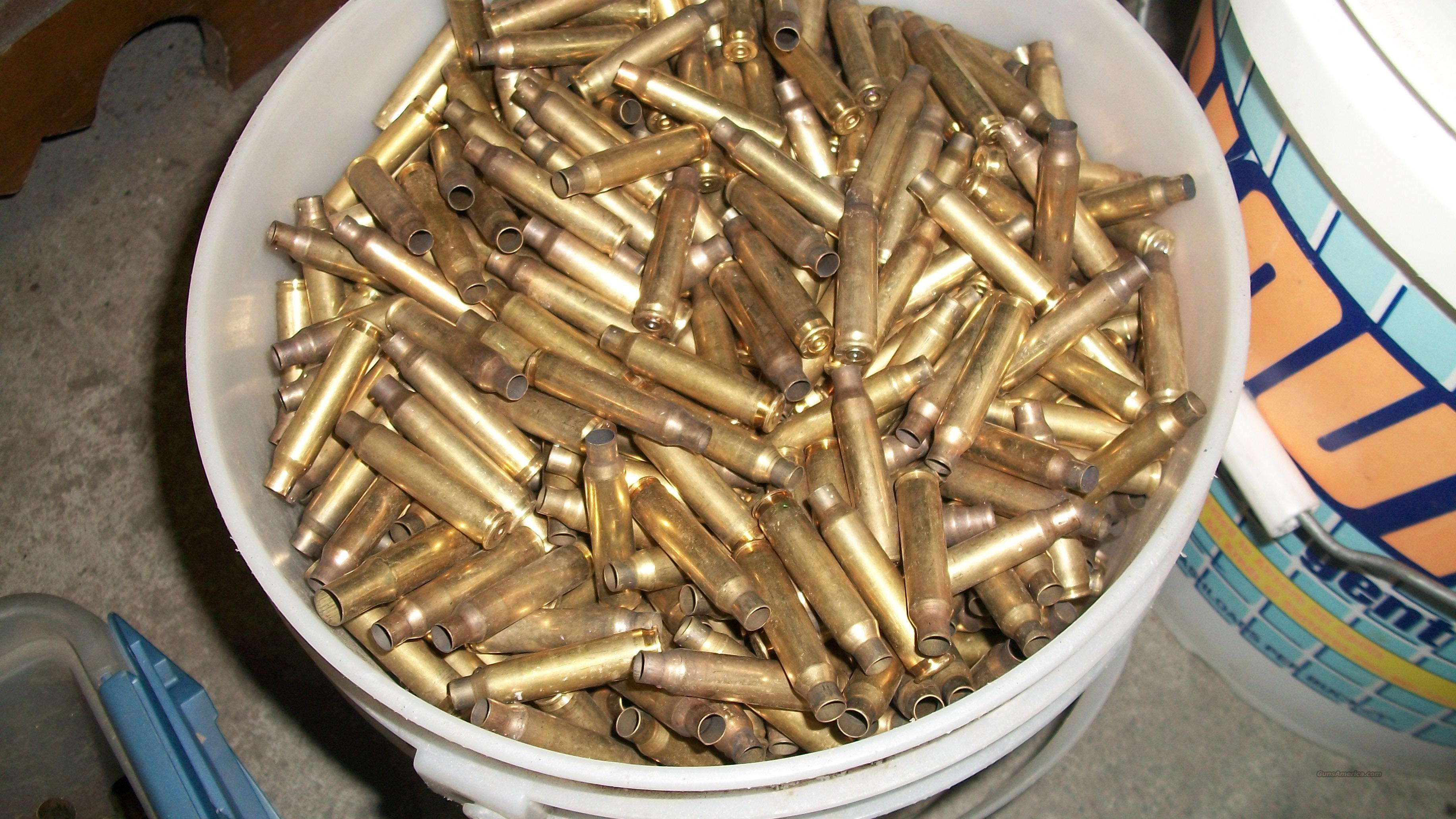 5.56 reloading brass .223 Brass 1000 peice for sale