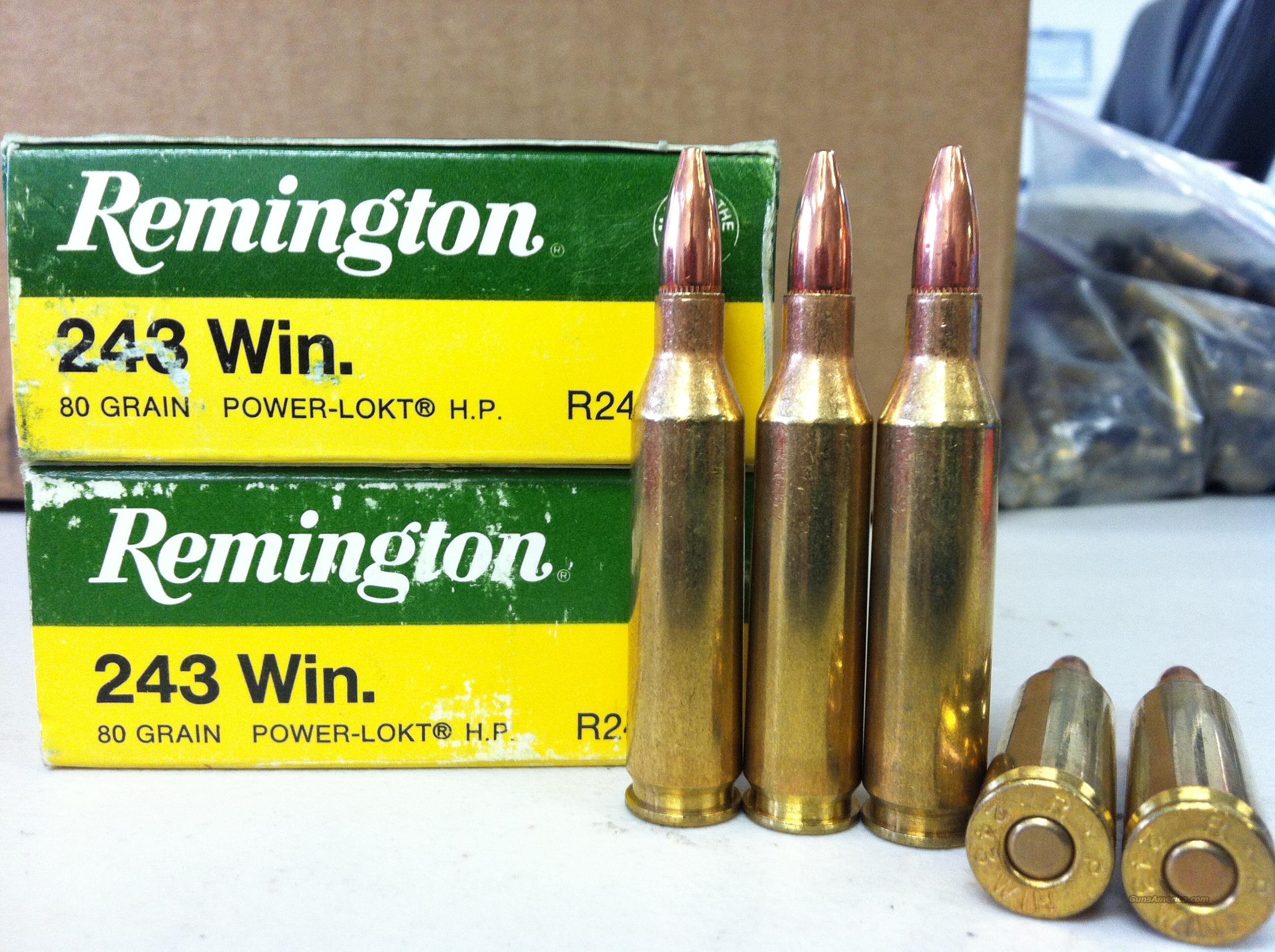 243 Winchester Rifle Ammo Factory Loaded Bulle... for sale