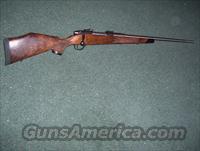 accumark